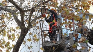 Bağcılar;da budanan dallar geri dönüşüme kazandırılıyor