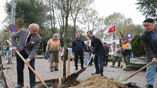 Bayrampaşa Belediyesinden Cumhuriyetin 100 yılına 2023 fidan