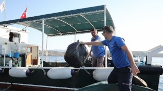 Büyükşehir Gökova Körfezinden Günlük 3 Bin 420 Kg. Çöp Topladı