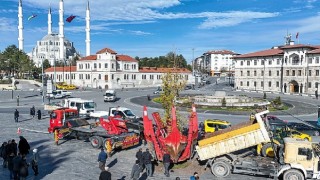 Meşhur ”tek ağaç” asırlık çınar ile değiştirildi