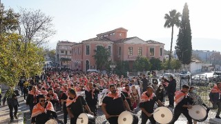 Zeytinin başkenti Milas;ta hasat coşkusu yaşanacak