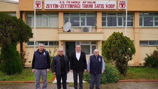 Başkan Ergin: Zeytinliklerimize sahip çıktık