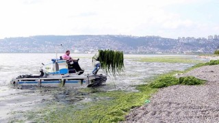 Dere, deniz ve kıyılardan 49 kamyon katı atık