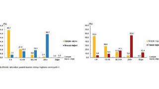 Hizmet ihracatının yüzde 58,7sini, hizmet ithalatının yüzde 55,4ünü büyük ölçekli girişimler yaptı