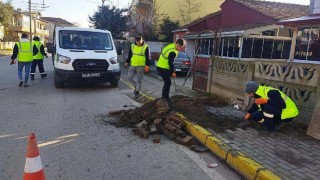 Yayalar için sağlıklı ve güvenli ulaşım