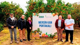 Metro Türkiye, Coğrafi İşaret Tesciline Aday Mersin Kan Portakalı;nın İzinde!