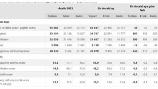 TÜİK: Mevsim etkisinden arındırılmış işsizlik oranı %8,8 seviyesinde gerçekleşti