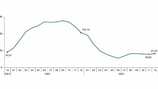 TÜİK: Tarımsal girdi fiyat endeksi (Tarım-GFE) yıllık %41,43, aylık %2,62 arttı