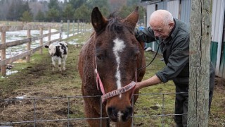 “Yetenekli Dr. Pol”un Yeni Sezonu Şubat Ayında National Geographic WILD Ekranlarında