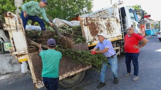 Buca Belediyesi, tarımsal üretimde çeşitliliği artırmak amacıyla köyler bölgesinde meyve fidanı dağıtımı yaptı