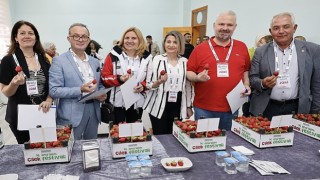 Menemende bu yıl 14. kez gerçekleştirilen Emiralem Çilek Festivali, yüz binlerce ziyaretçinin buluşma noktası oldu