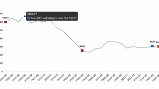 Tüik: Tarım ürünleri üretici fiyat endeksi (Tarım-ÜFE) yıllık %60,77 arttı, aylık %2,71 arttı