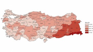 Tüik: Yükseköğretim mezunlarının oranı 25 yaş ve üzeri nüfusta %24,6 oldu