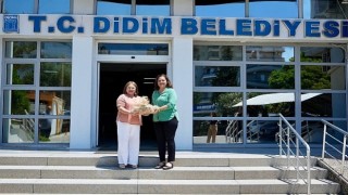 Afyonkarahisar Belediye Başkanı Burcu Köksal, Didim Belediye Başkanı Hatice Gençayı ziyaret etti.