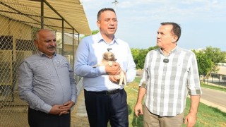 CHP Mersin milletvekilleri Ali Mahir Başarır ile CHP Mersin Milletvekili Talat Dinçer Yenişehir Belediyesinin hayvan bakımevini gezdi