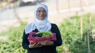 Mahalle bostanında hasat zamanı