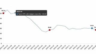 Tüik: Tarım ürünleri üretici fiyat endeksi (Tarım-ÜFE) yıllık %54,58 arttı, aylık %1,95 arttı