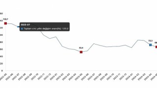 Tüik: Toplam ciro yıllık %66,8 arttı