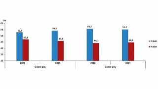 Tüik: Yurt dışından Türkiyeye 316 bin 456 kişi göç etti