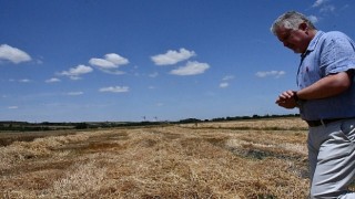 Lüleburgaz Belediyesinden 160 ton buğday hasadı