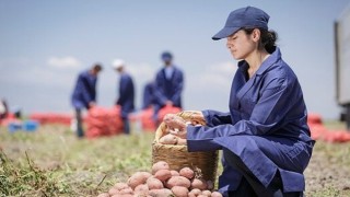 PepsiCo Türkiye den 16 Ağustos Dünya Patates Gününde ...