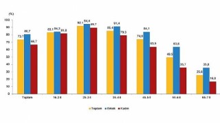 Tüik: İnternet kullanan bireylerin oranı %88,8 oldu