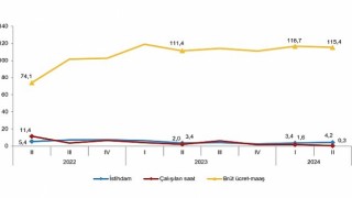 Tüik: İstihdam endeksi yıllık %4,2 arttı