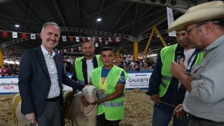 Yerli Tavuk Irkları İle Koçlar İnegölde Podyuma Çıkacak