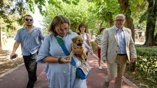 Sahipsiz Köpek Popülasyonu Yönetimi İzmir Eylem Planı hazırlandı