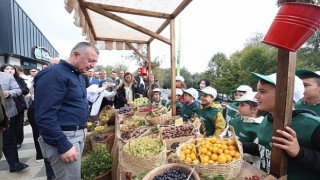 Samanlı Dağlarına 10 Kızıl geyik salındı; Doğa dostu Büyükşehir ekosistemi koruyor