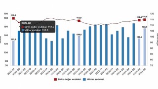 Tüik: İhracat birim değer endeksi %0,9 arttı