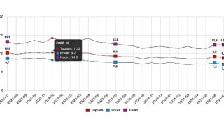 Tüik: Mevsim etkisinden arındırılmış işsizlik oranı %8,8 seviyesinde gerçekleşti