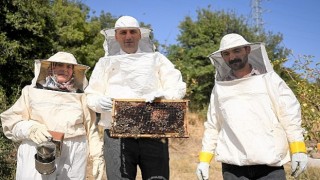 Bornovada bal gibi proje