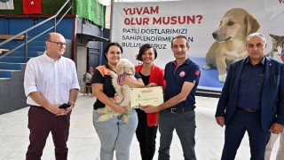 Karabağlar patili dostlar için buluşuyor