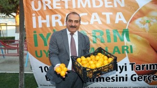 Satsuma mandalina yüklü TIRlar ihracata yolcu edildi