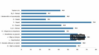 Tüik: Toplam ciro yıllık %41,8 arttı