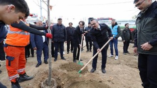 İnegölde Fidanlar Toprakla Buluştu