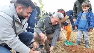 Kandırada 1.500 Defne Fidanı Toprakla Buluştu.