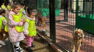 Küçük hayvanseverlerden can dostlarına ziyaret