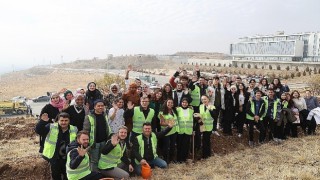 Milli Ağaçlandırma Gününde Üniversiteli Gençler Fidanları Toprakla Buluşturdu