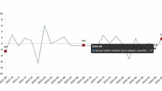 Tüik: Sanayi üretimi yıllık %2,4 azaldı