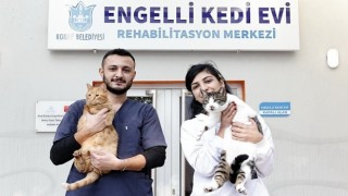 Konak ın engelleri aşan Kedi Evi nden sahiplenme çağrısı