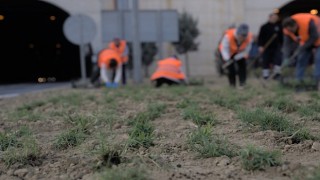 Kuraklığa karşı İzmirin yeşil örtüsünde dönüşüm