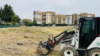 Manisada Yabani Ot Temizliği Çalışmaları Devam Ediyor