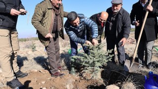 Nevşehirde Yeni Doğan ve Ölen Kişiler İçin Fidan Dikildi