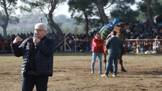 Pelitköy Deve Güreşleri İçin Geri Sayım Başladı