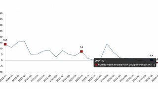 Tüik: Hizmet üretim endeksi yıllık %2,0 azaldı