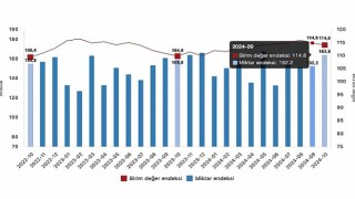 Tüik: İhracat birim değer endeksi %3,8 arttı