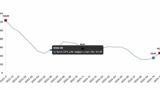 Tüik: Tarım ürünleri üretici fiyat endeksi (Tarım-ÜFE) yıllık %46,91 arttı, aylık %8,88 arttı