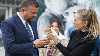 Mucize, Buca Belediyesi veterinerleri sayesinde hayata tutundu